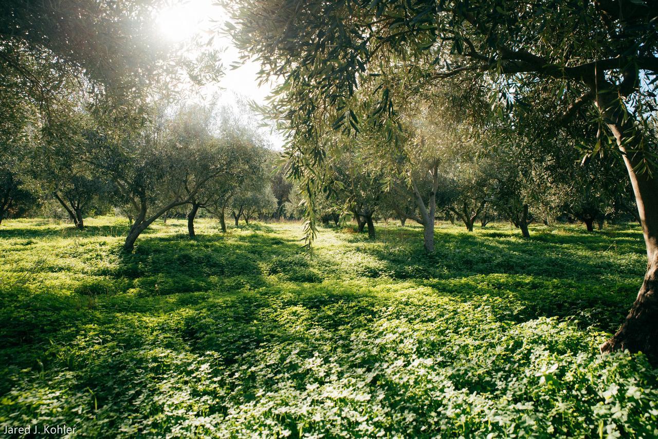 فيلا Red Tractor Farm Korissia  المظهر الخارجي الصورة